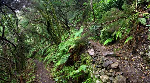 Parque Rural de Anaga